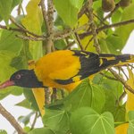 Photo taken by Graham D