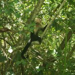 Photo taken by Tracye P