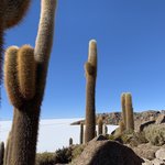 Photo taken by Flaminia R