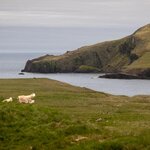 Photo taken by Kim C