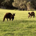 Photo taken by Rosemary S