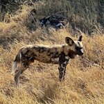 Photo taken by Tom B