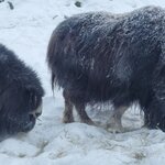 Photo taken by Moses K