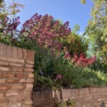 Photo taken by Gary G