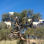 Photo taken by Maria R