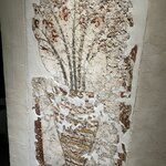 Photo taken by Lee D