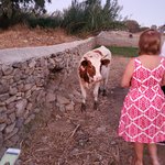 Photo taken by Patricia K