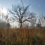 Photo taken by Cayden S