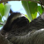 Photo taken by James C