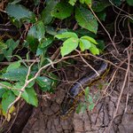 Photo taken by Matt W