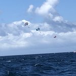 Photo taken by Izabella L