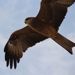 Udaipur  | Photo taken by Ivan T