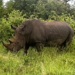 Photo taken by Michael Z