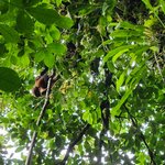 Photo taken by Esther B