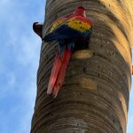 Photo taken by SANTHI S