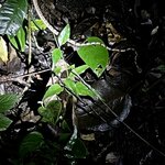 Photo taken by Julie G