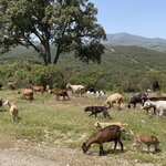 Photo taken by Bruce B