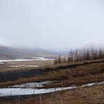 Photo taken by Dilip C