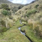 Photo taken by Nina S