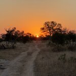 Photo taken by Tom B