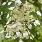 Photo taken by Erin J