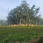 Photo taken by Cayden S