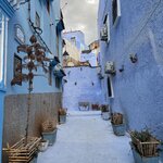 Photo taken by Dorothy Paz L