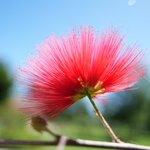 Photo taken by Eric T