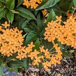 Photo taken by Daniel S