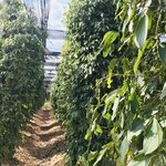 Photo taken by Kim C