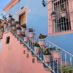 Photo taken by Julie S