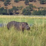 Photo taken by Kaye D