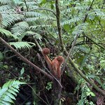 Photo taken by Mary K