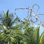 Photo taken by Cassio S