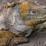 Photo taken by mindy n