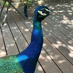 Photo taken by Nancy A