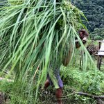 Photo taken by Joanna K