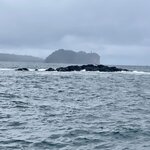 Photo taken by Lisa M