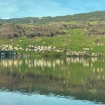 Photo taken by Kavita P