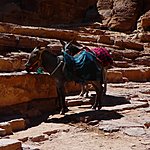 Photo taken by Sarah m