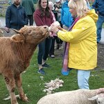 Photo taken by Bob J