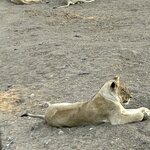 Photo taken by Nigel R