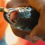 Photo taken by Dennis H