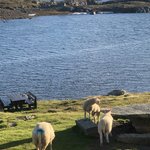 Photo taken by florence P