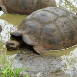 Photo taken by Joseph P