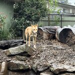 Photo taken by Cindy H