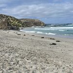 Photo taken by Cynthia K