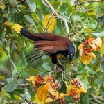 Photo taken by William A