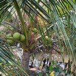 Photo taken by Sushma S