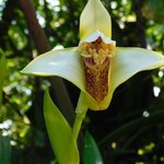 Photo taken by Steven M